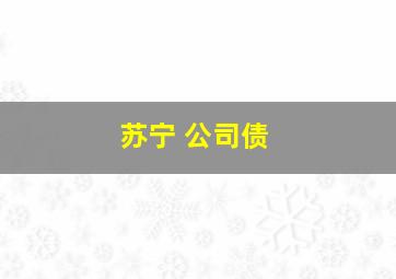 苏宁 公司债